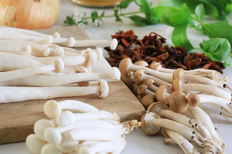 ingredients mushrooms onion and herbs